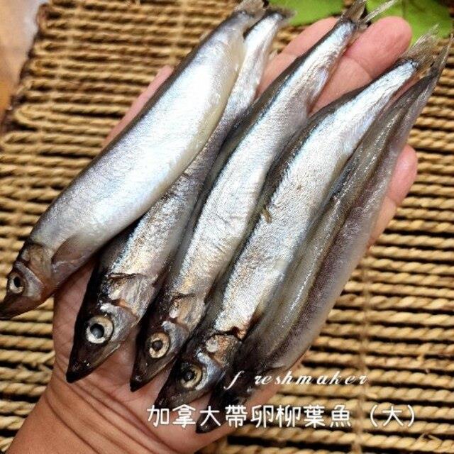 鮮味工坊,鮮味柳葉魚 大 (生鮮 - 約13~15尾)
