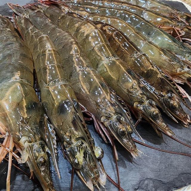 健康酵母巨無霸白蝦A+++(生鮮),鮮味工坊