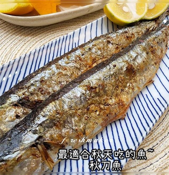 鮮味工坊,特級 秋刀魚 (生鮮 - 野生海魚)大