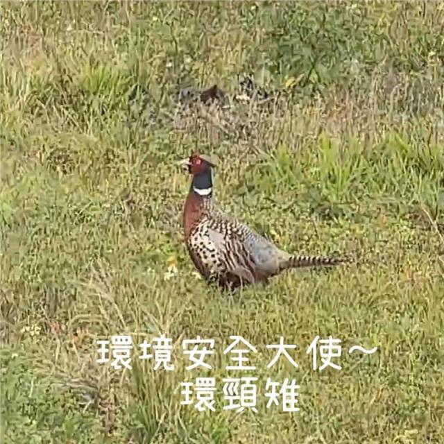 鮮味工坊
