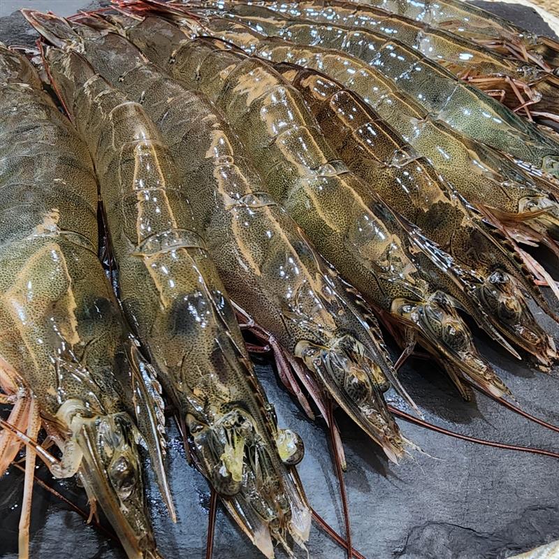 健康酵母巨無霸白蝦A+++(生鮮),鮮味工坊